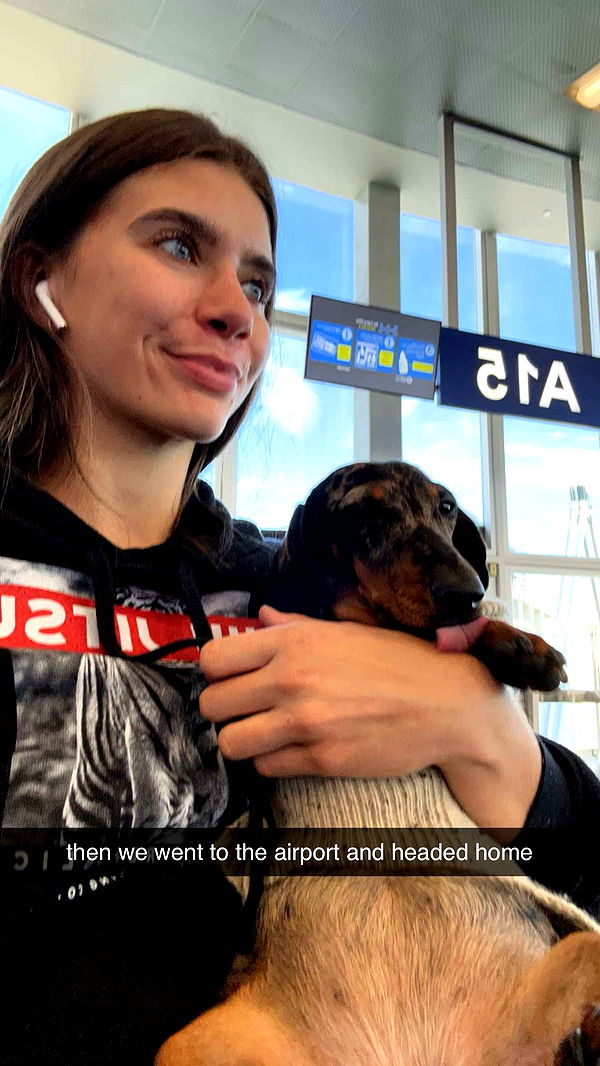 mckinley_1 image ~ Altpins