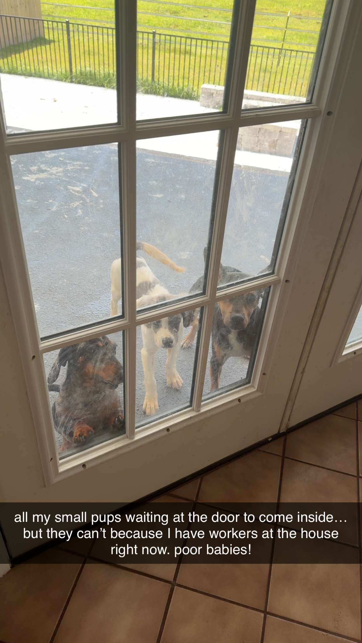 mckinley_1 snapchat image archive image