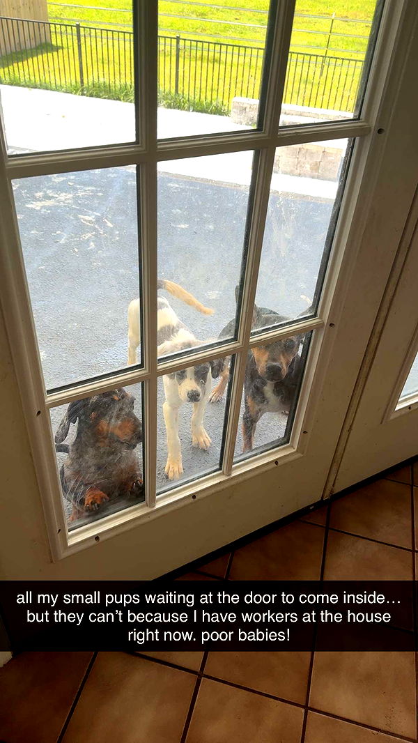 mckinley_1 image ~ Altpins