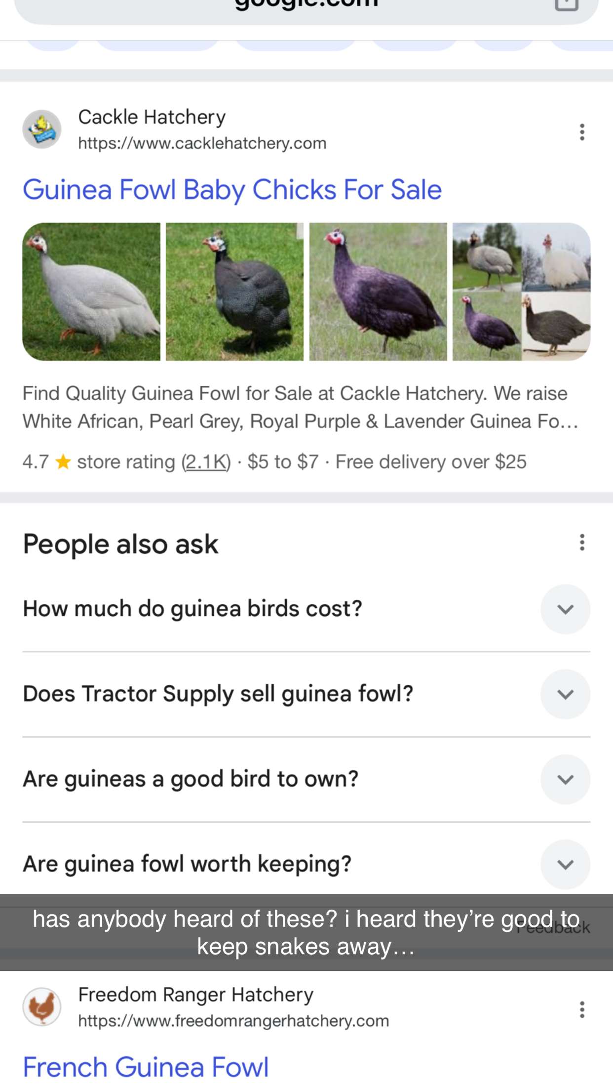 mckinley_1 snapchat image archive image