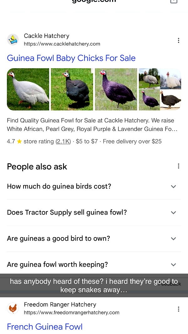 mckinley_1 image ~ Altpins