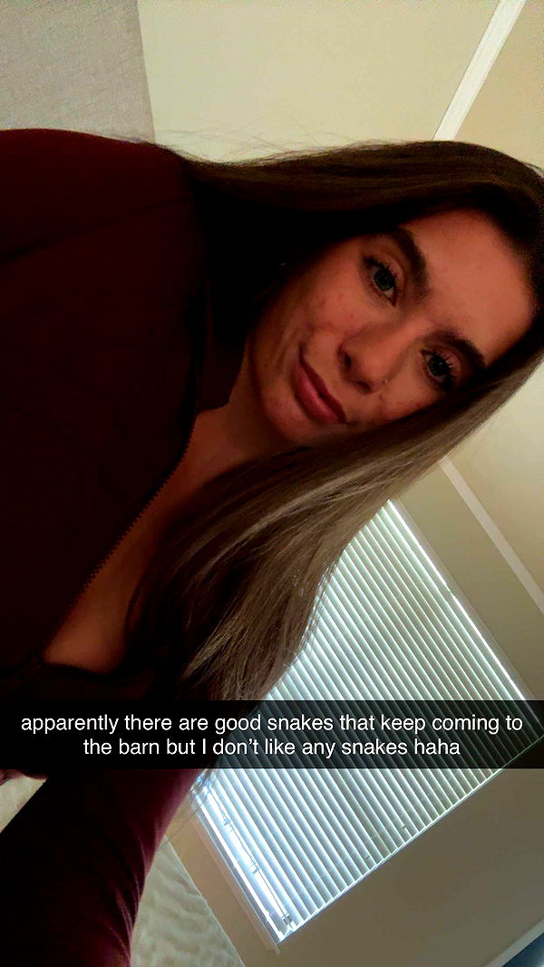 mckinley_1 image ~ Altpins