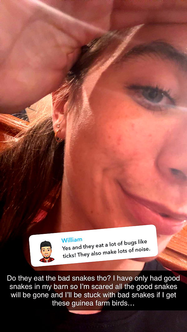 mckinley_1 image ~ Altpins