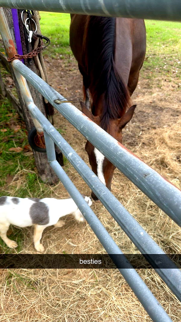 mckinley_1 image ~ Altpins