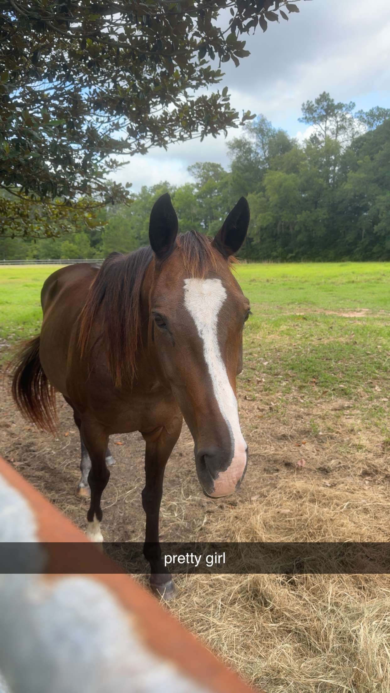 mckinley_1 snapchat image archive image