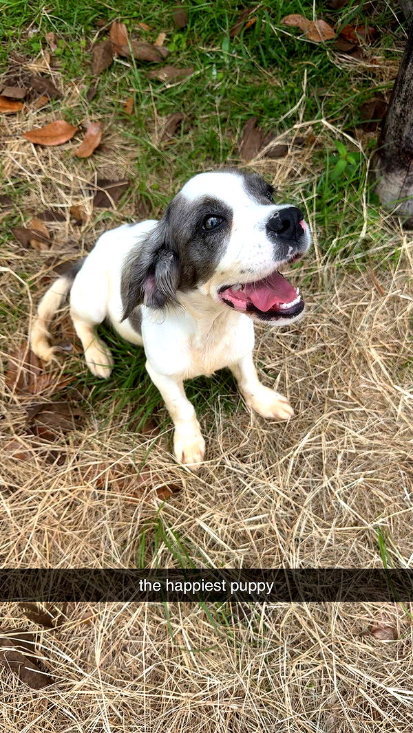 mckinley_1 image ~ Altpins