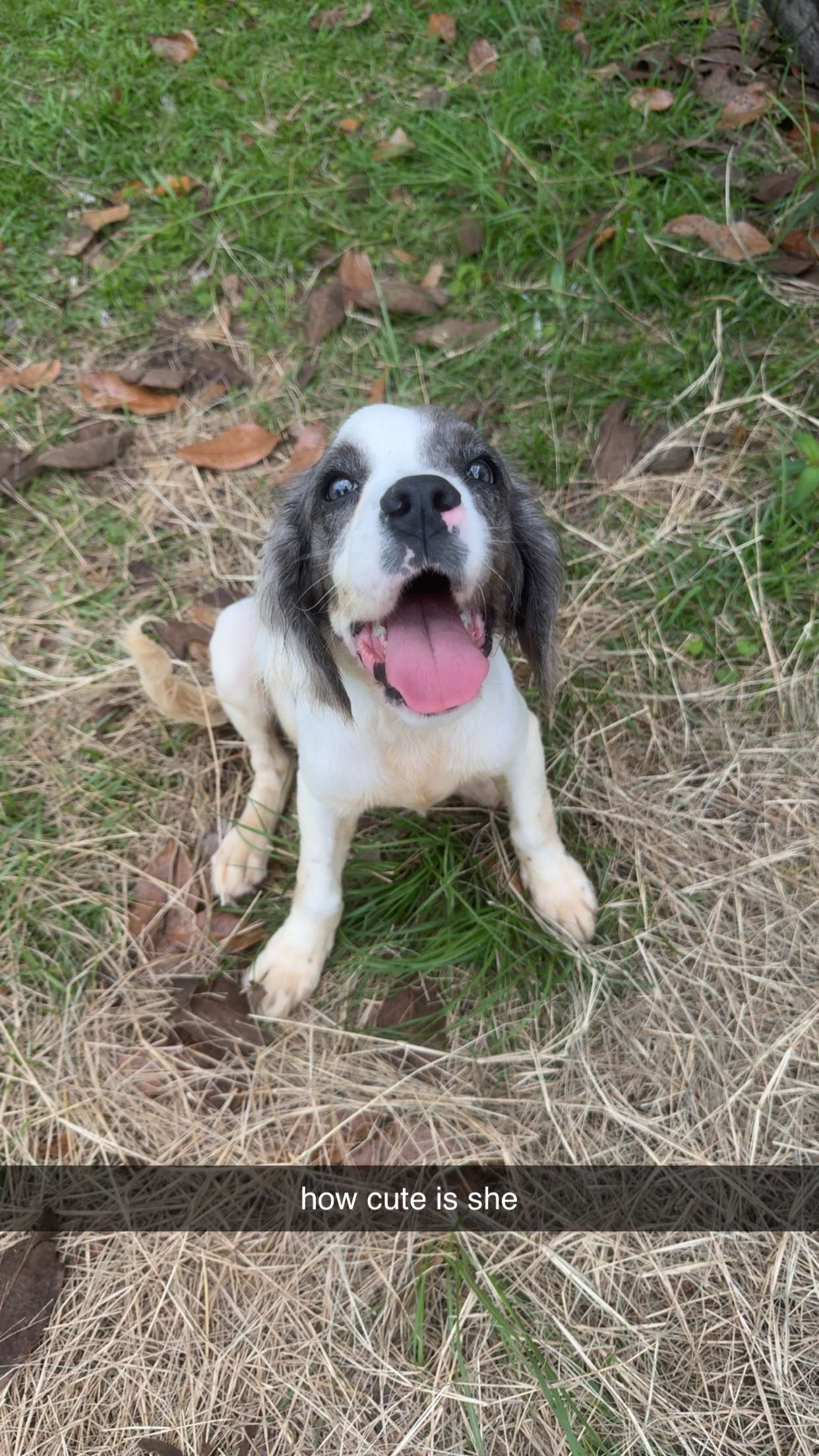 mckinley_1 snapchat image archive image