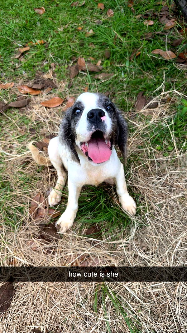 mckinley_1 image ~ Altpins