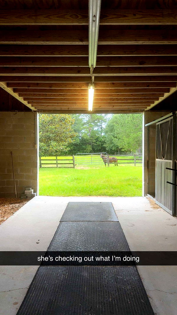 mckinley_1 image ~ Altpins