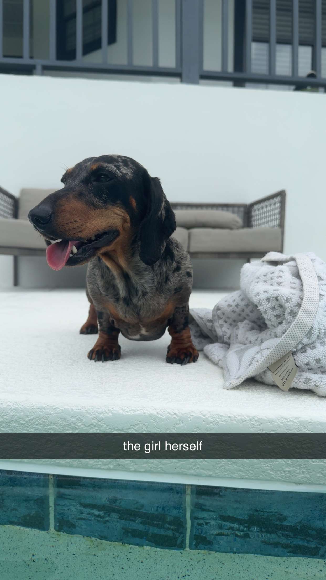 mckinley_1 snapchat image archive image