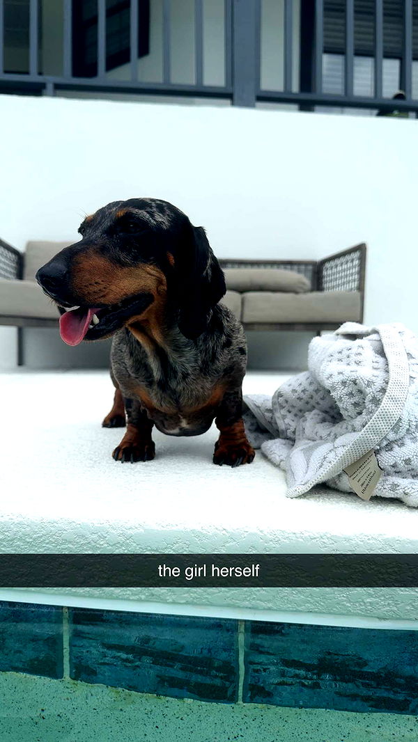 mckinley_1 image ~ Altpins