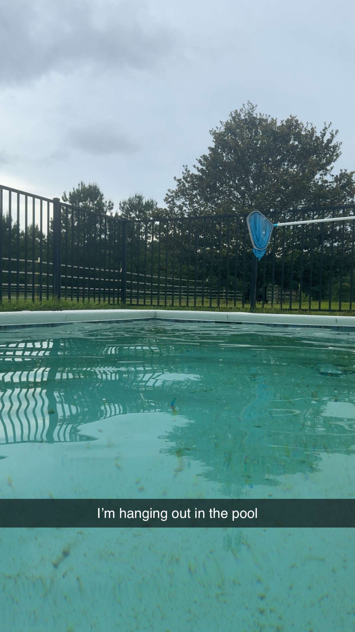 mckinley_1 snapchat image archive image