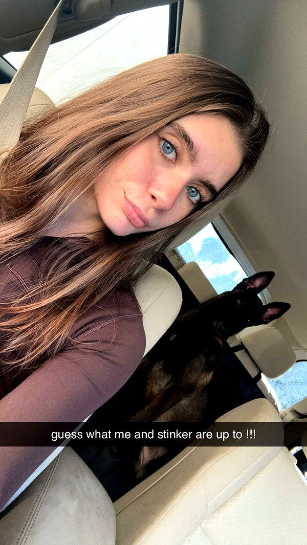 mckinley_1 image ~ Altpins