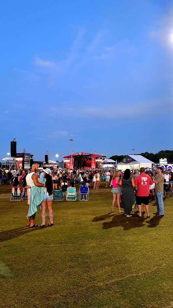 mckinley_1 image ~ Altpins