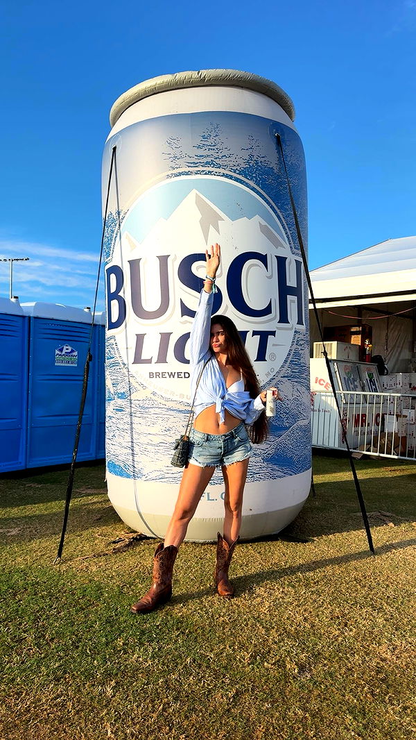 mckinley_1 image ~ Altpins