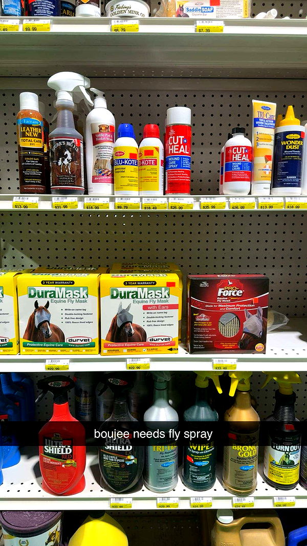 mckinley_1 image ~ Altpins