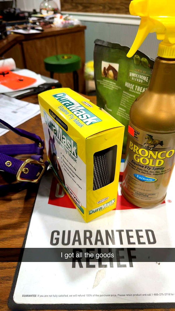 mckinley_1 image ~ Altpins