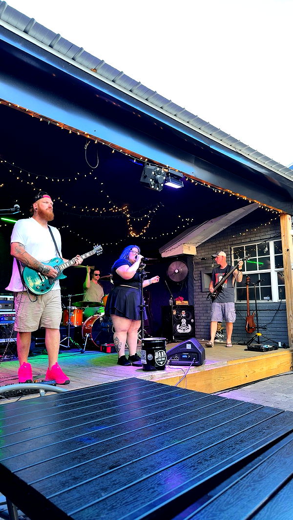 mckinley_1 image ~ Altpins