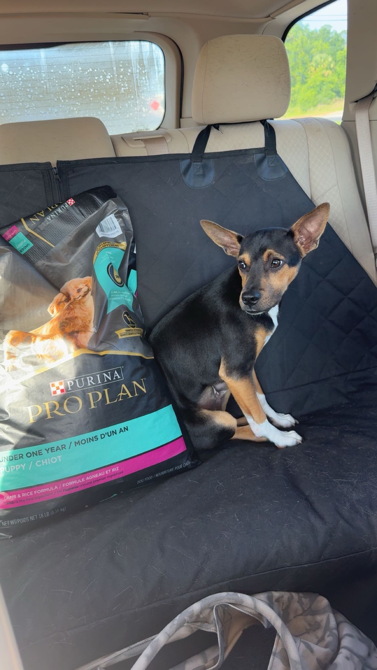 mckinley_1 snapchat image archive image