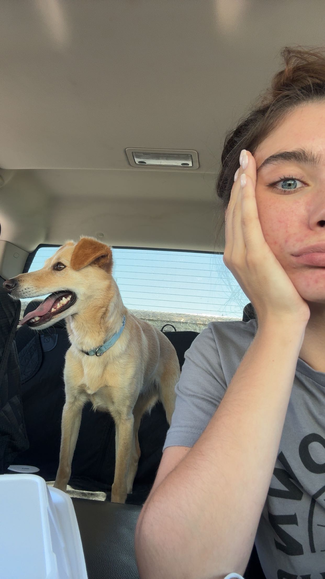 mckinley_1 snapchat image archive image