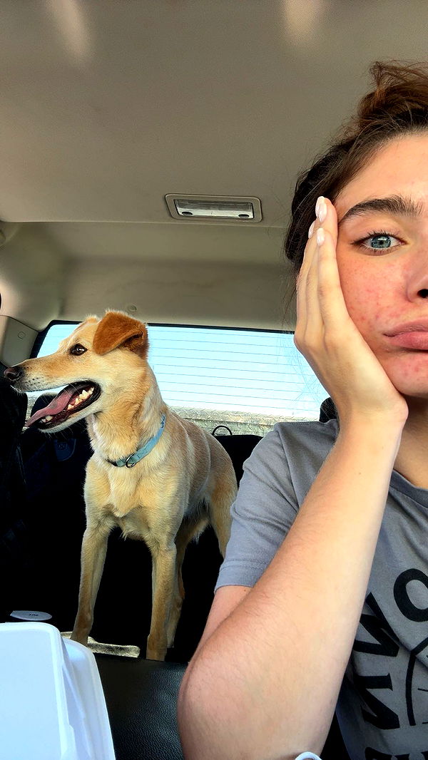 mckinley_1 image ~ Altpins