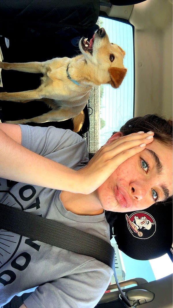 mckinley_1 image ~ Altpins