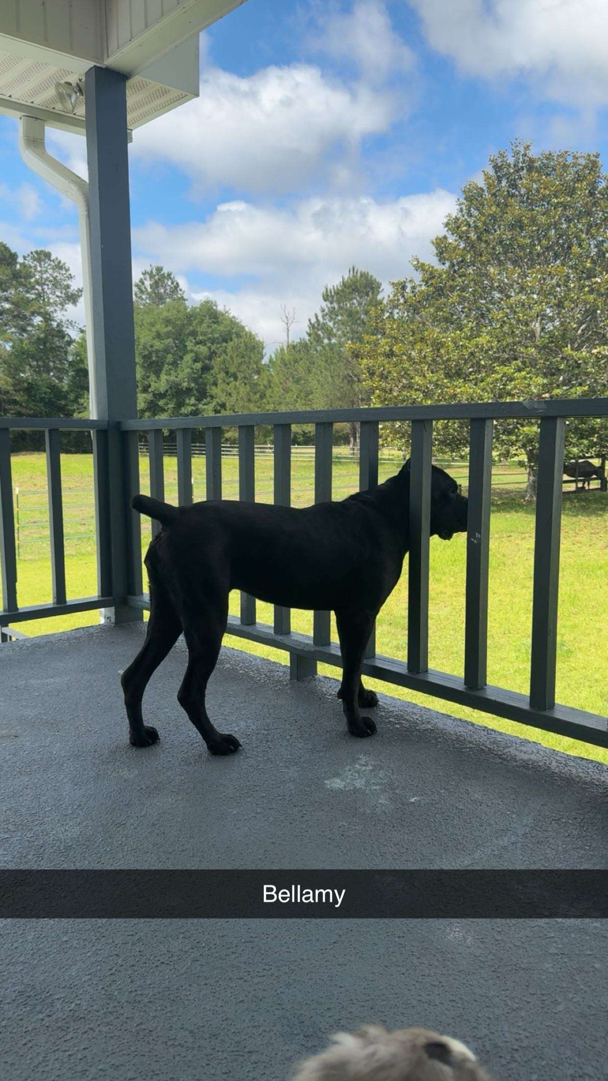 mckinley_1 snapchat image archive image