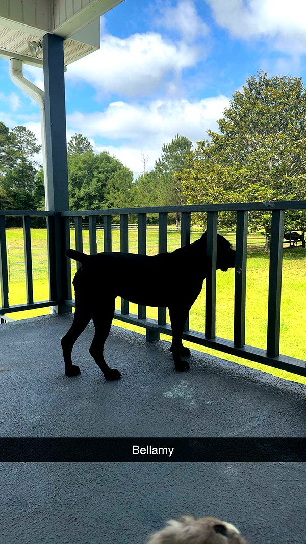 mckinley_1 image ~ Altpins