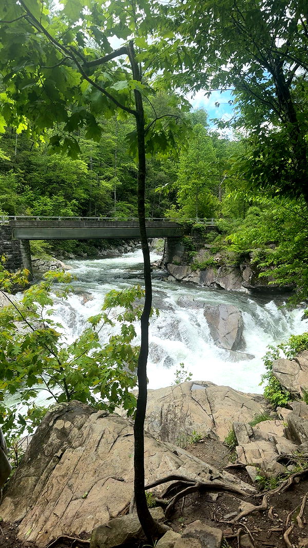 mckinley_1 image ~ Altpins