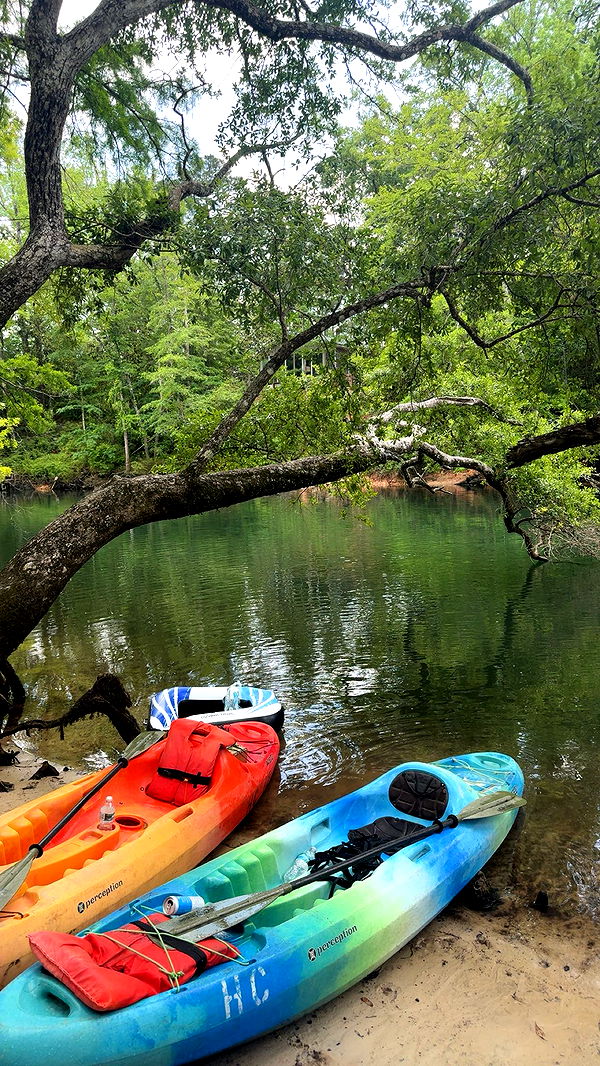 mckinley_1 image ~ Altpins