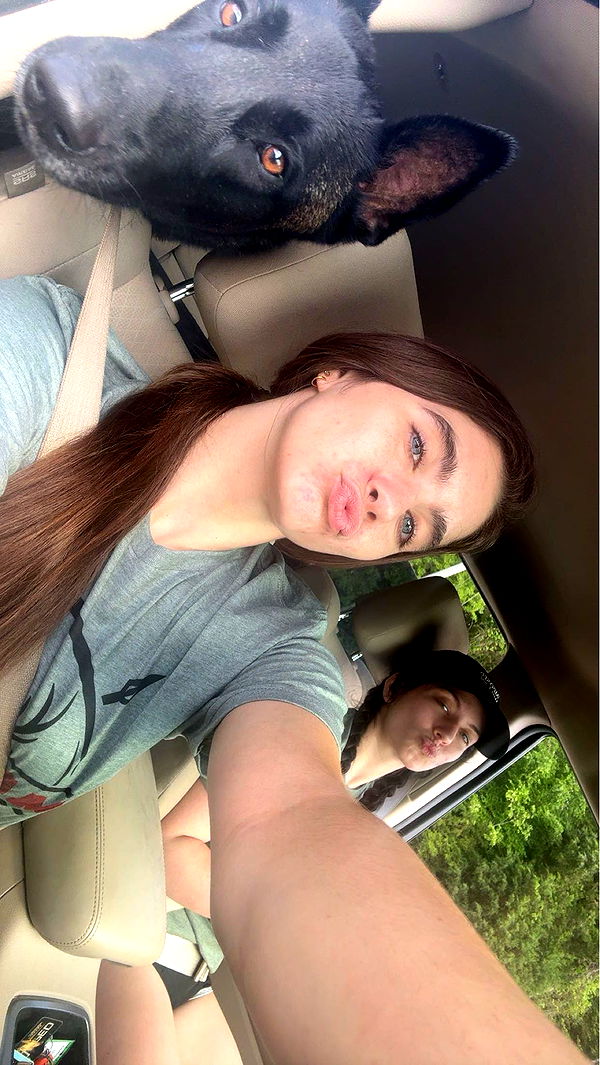 mckinley_1 image ~ Altpins