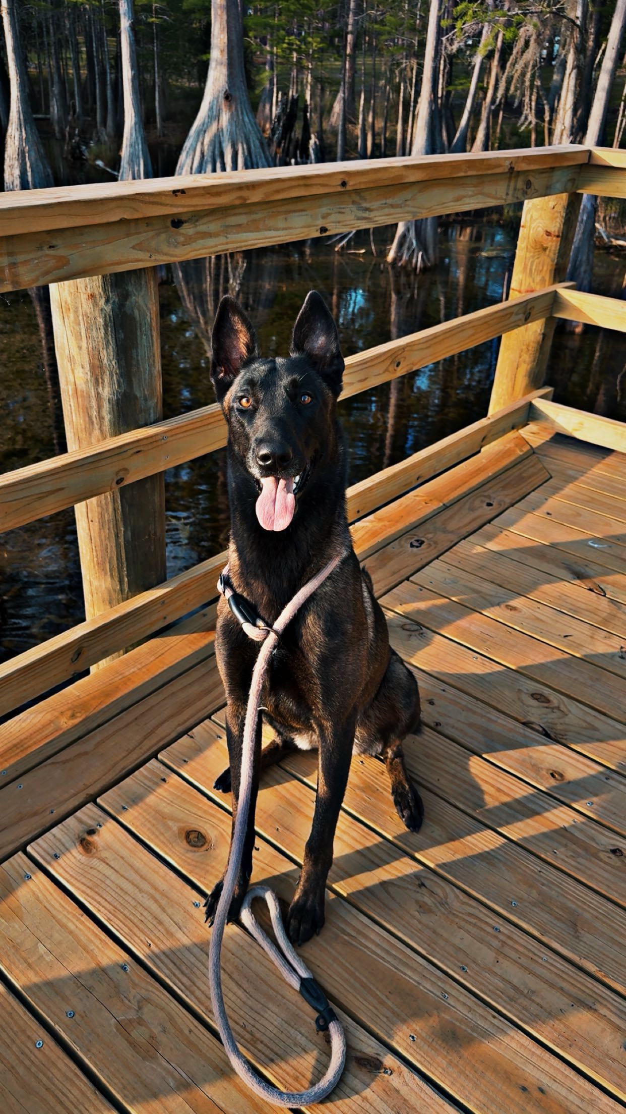 mckinley_1 snapchat image archive image