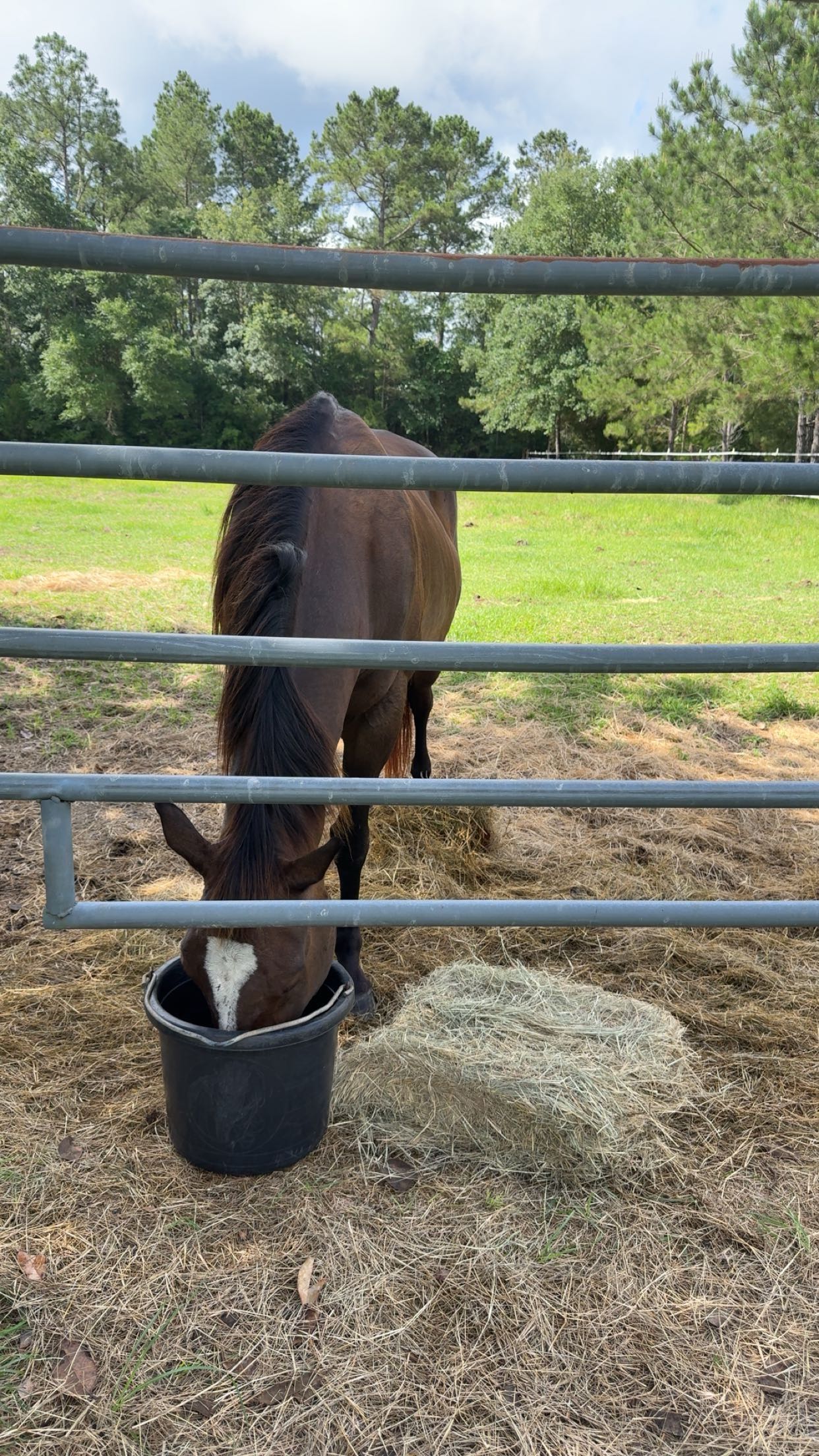 mckinley_1 snapchat image archive image