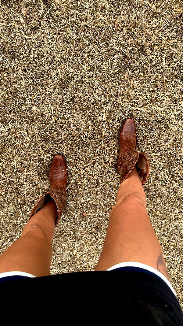 mckinley_1 image ~ Altpins