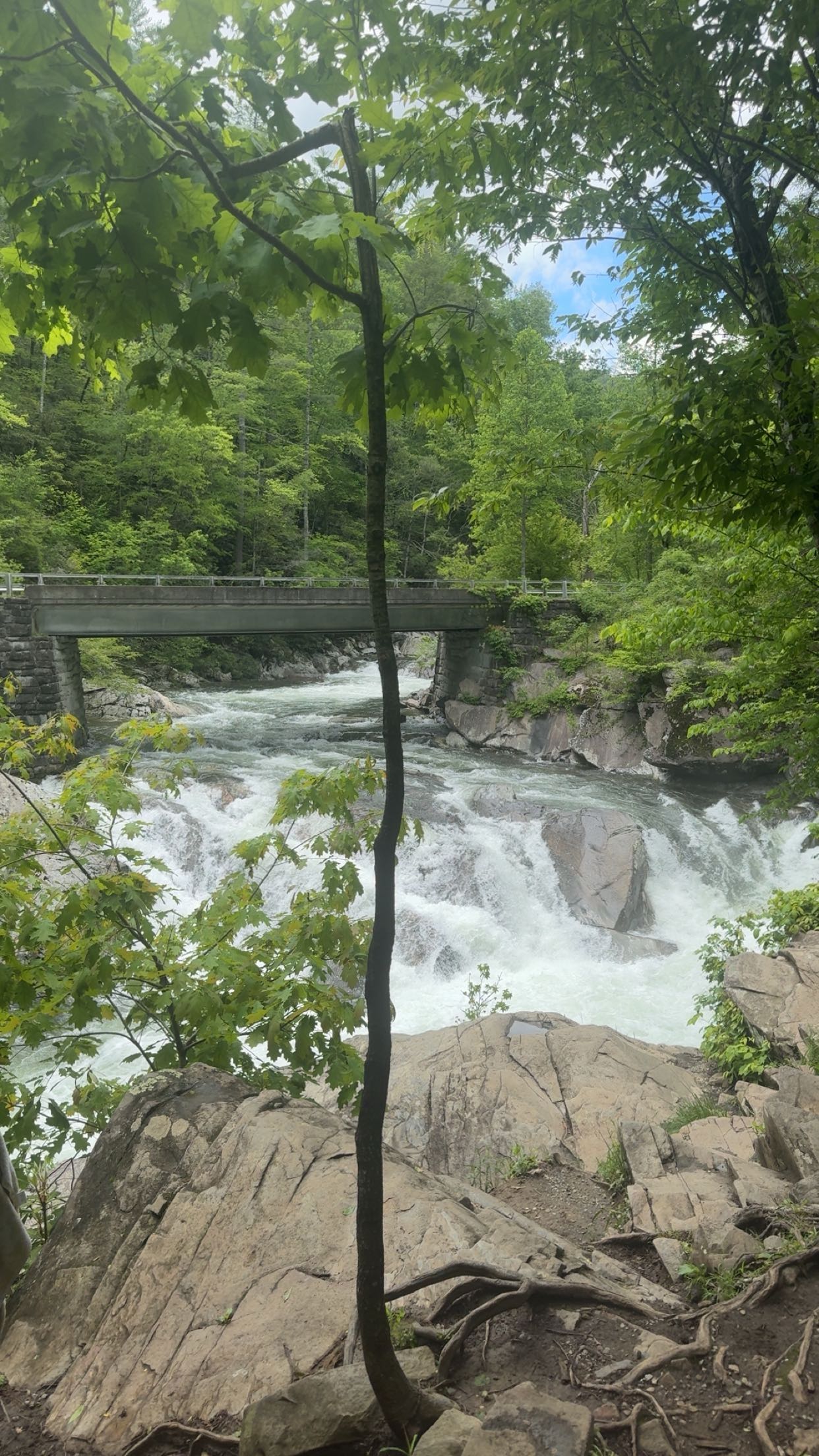 mckinley_1 snapchat image archive image