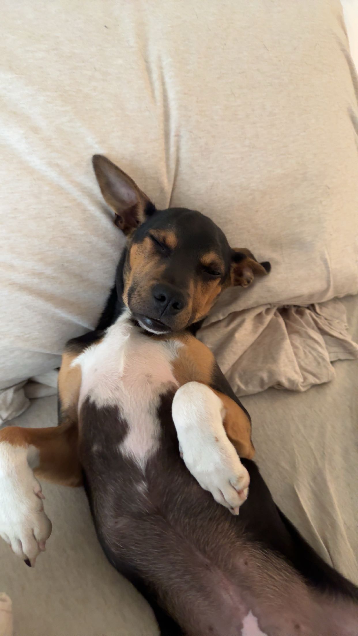 mckinley_1 snapchat image archive image