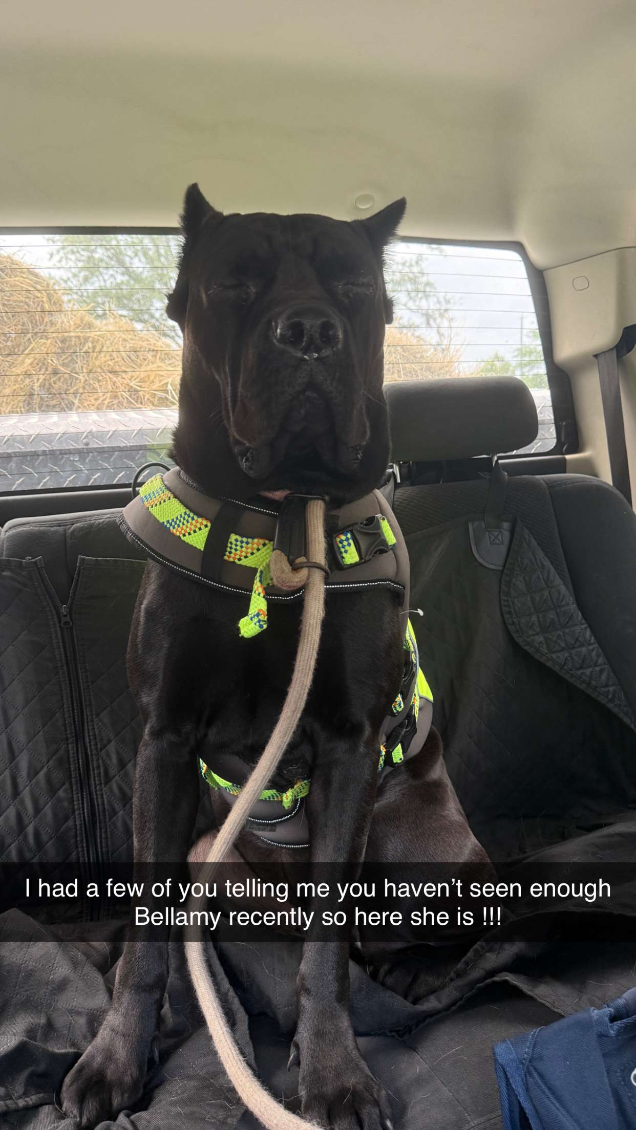 mckinley_1 snapchat image archive image