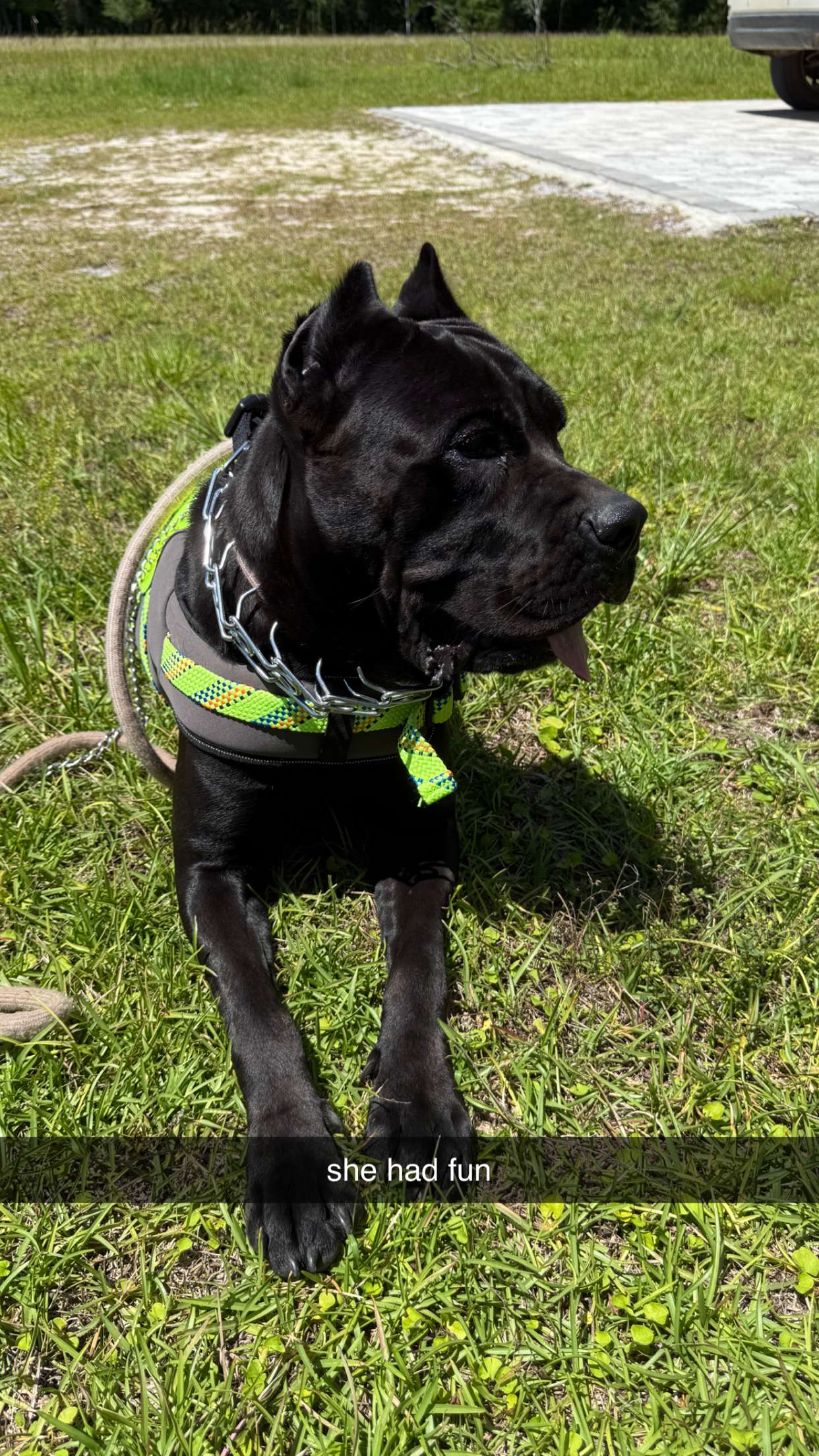 mckinley_1 snapchat image archive image