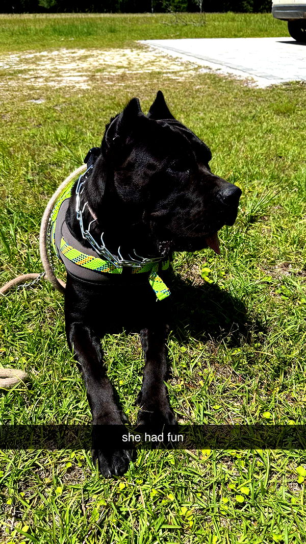 mckinley_1 image ~ Altpins