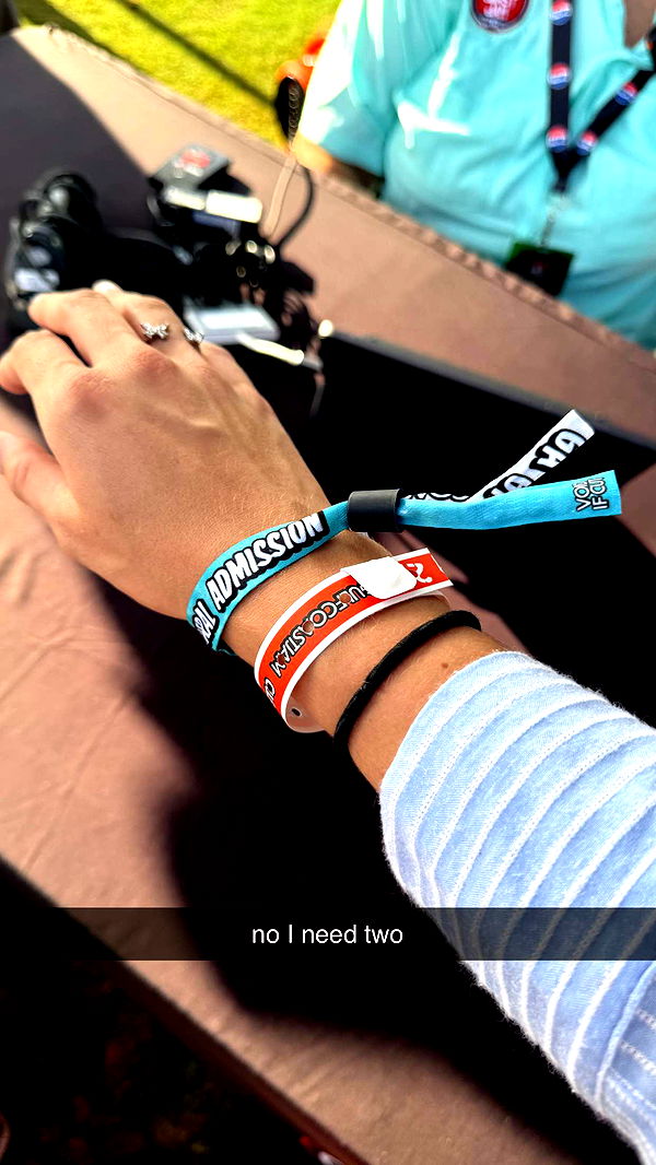 mckinley_1 image ~ Altpins