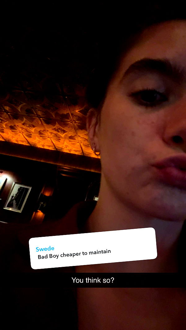 mckinley_1 image ~ Altpins