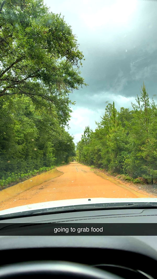 mckinley_1 image ~ Altpins