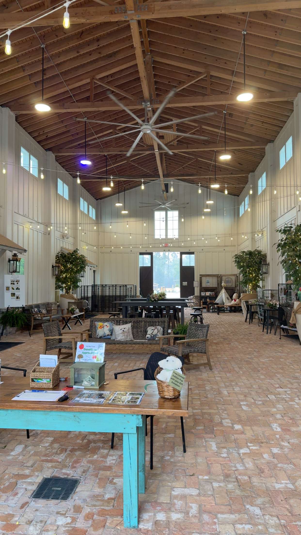 mckinley_1 snapchat image archive image