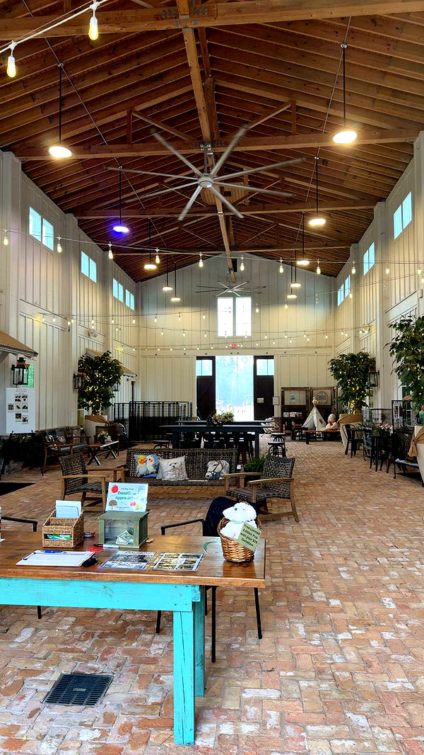 mckinley_1 image ~ Altpins