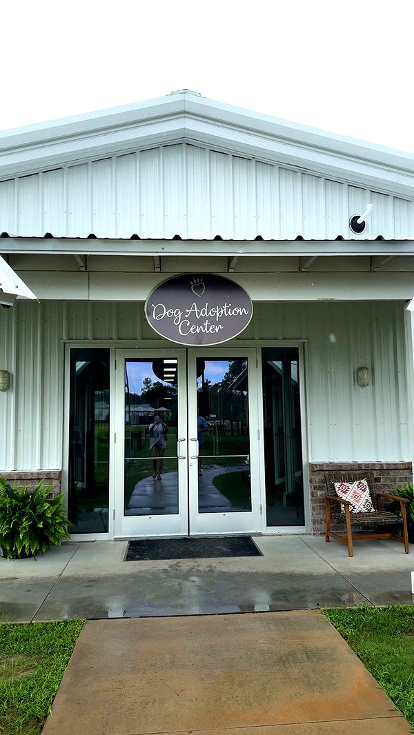 mckinley_1 image ~ Altpins