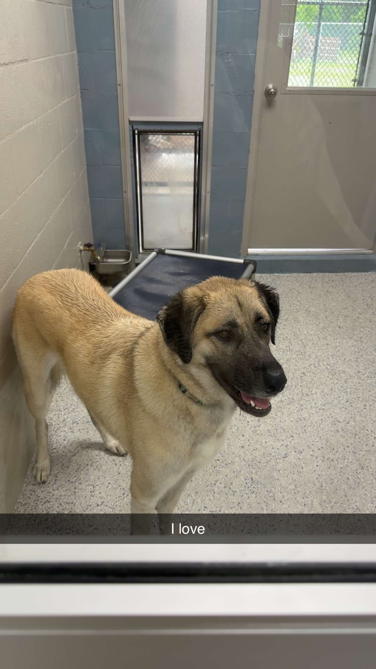 mckinley_1 snapchat image archive image