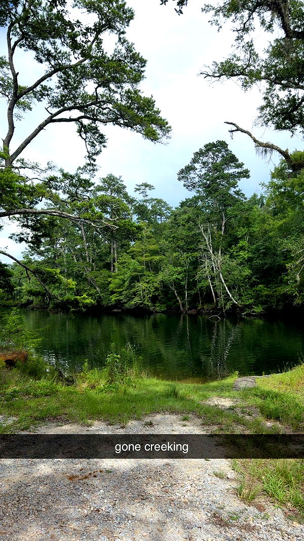 mckinley_1 image ~ Altpins