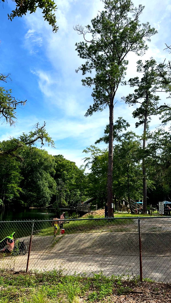 mckinley_1 image ~ Altpins