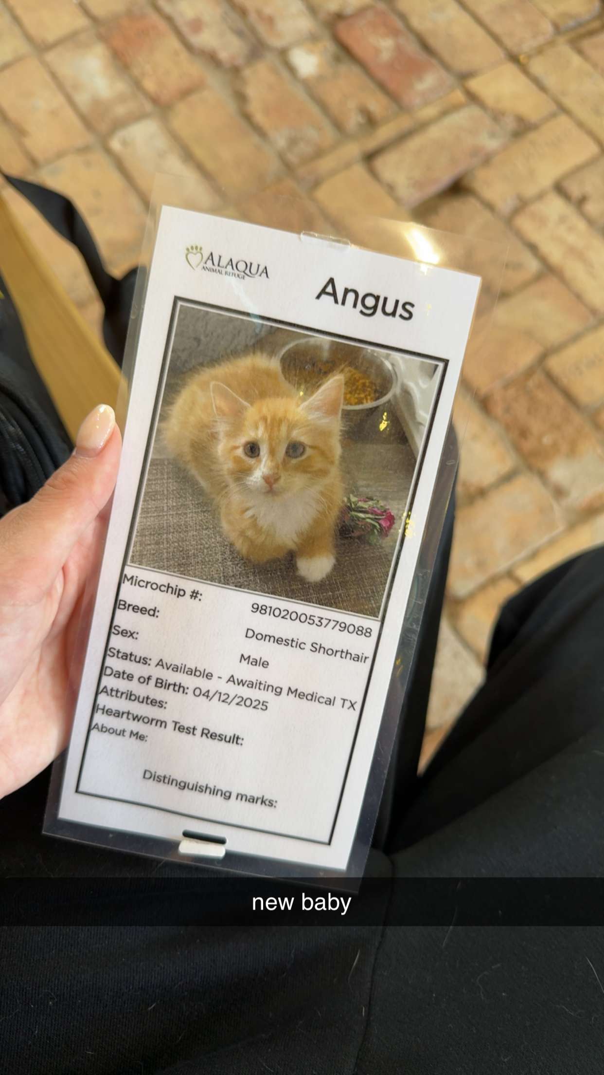 mckinley_1 snapchat image archive image