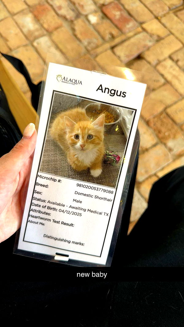 mckinley_1 image ~ Altpins